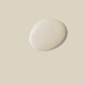 Canvas Chalk Paint®