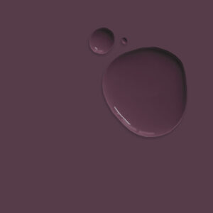 Tyrian Plum