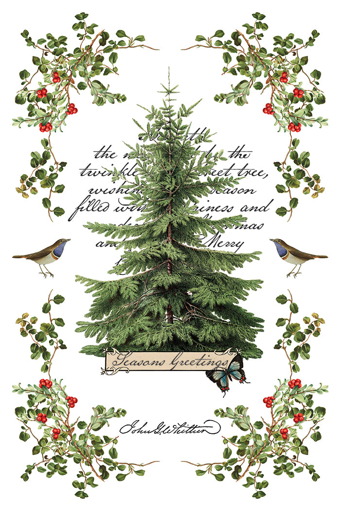 Winter Botanist IOD Transfer 8x12 Pad