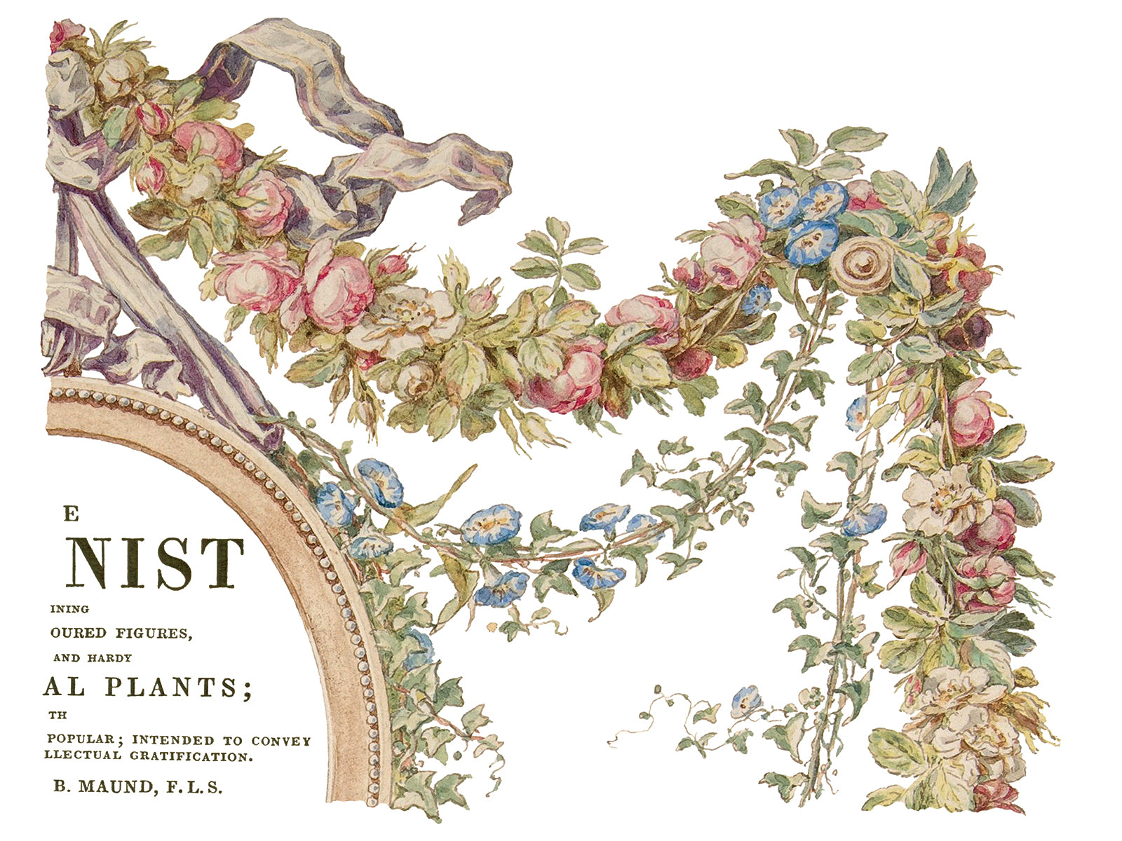 The Botanist IOD Transfer