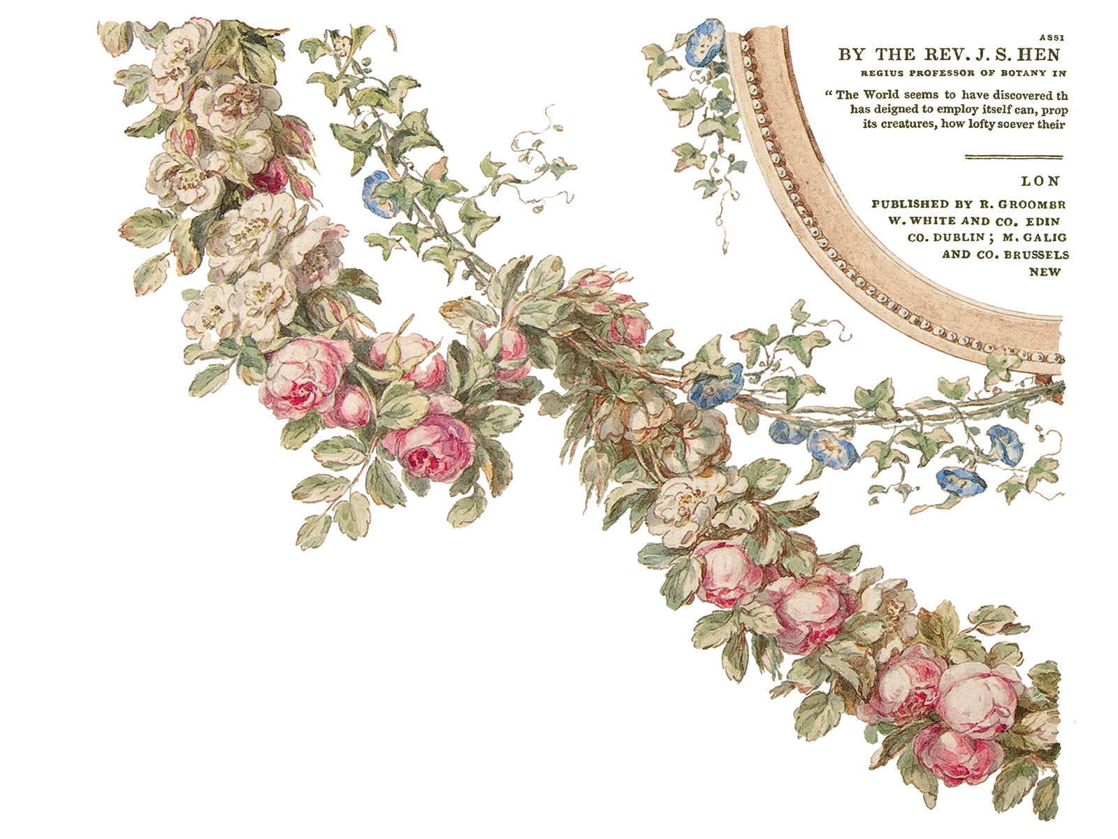 The Botanist IOD Transfer