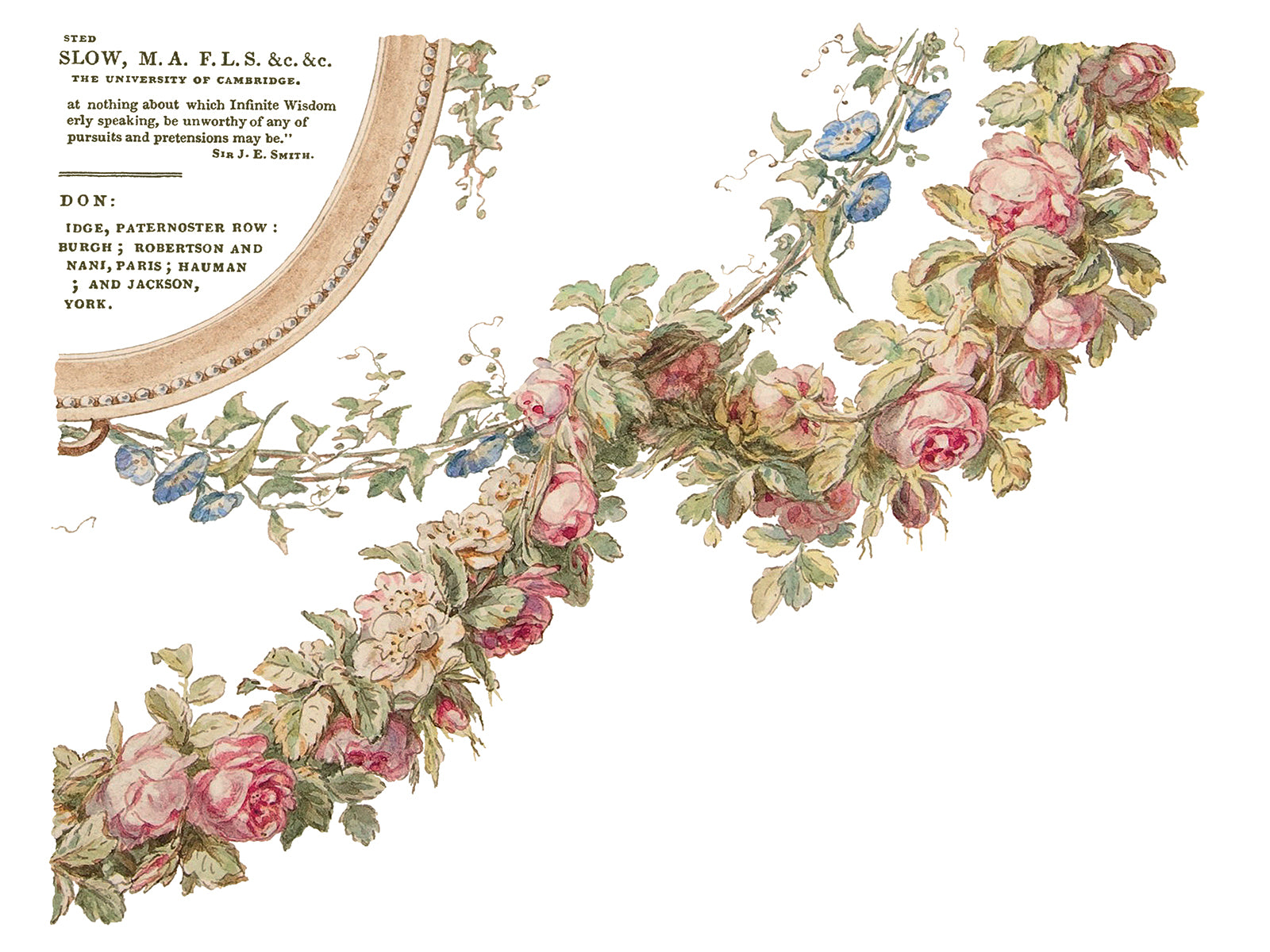 The Botanist IOD Transfer