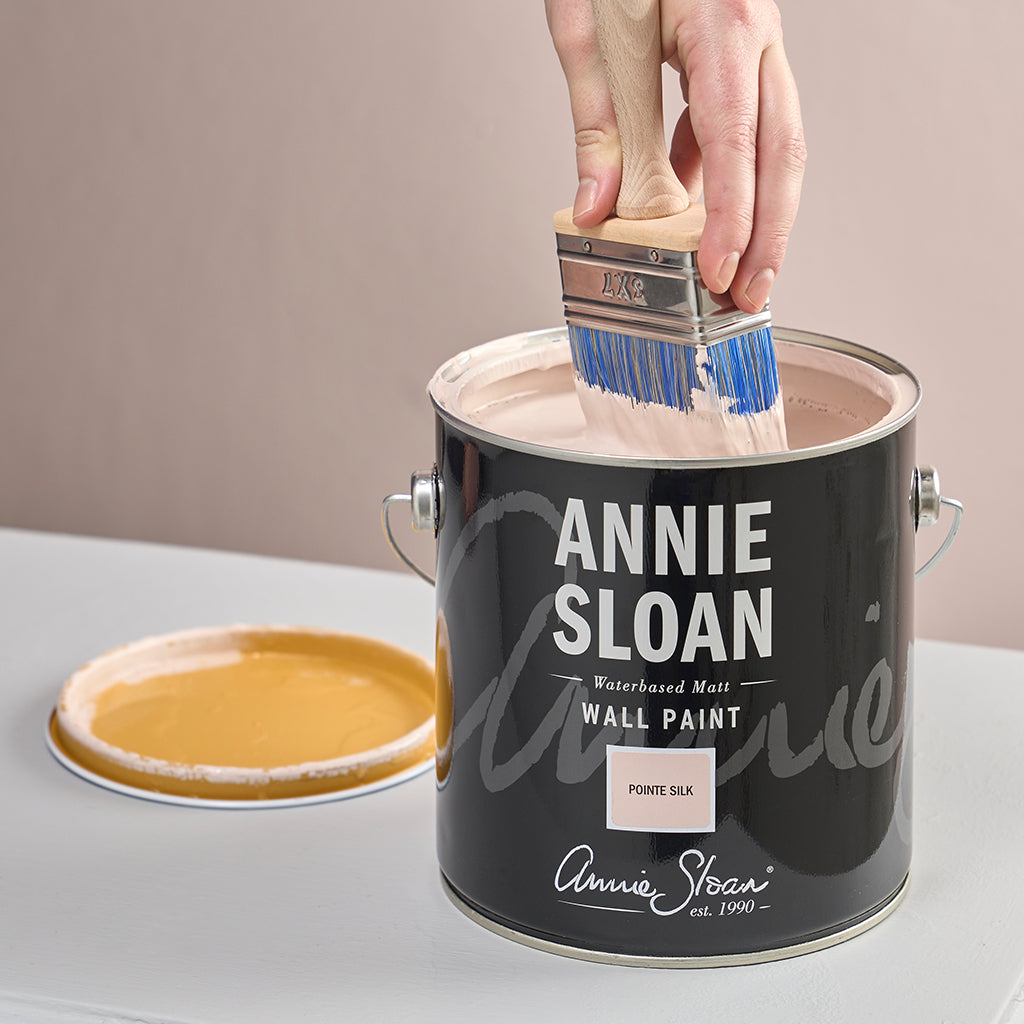 Wall Paint Brushes