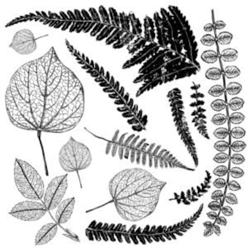 Fronds IOD Stamp