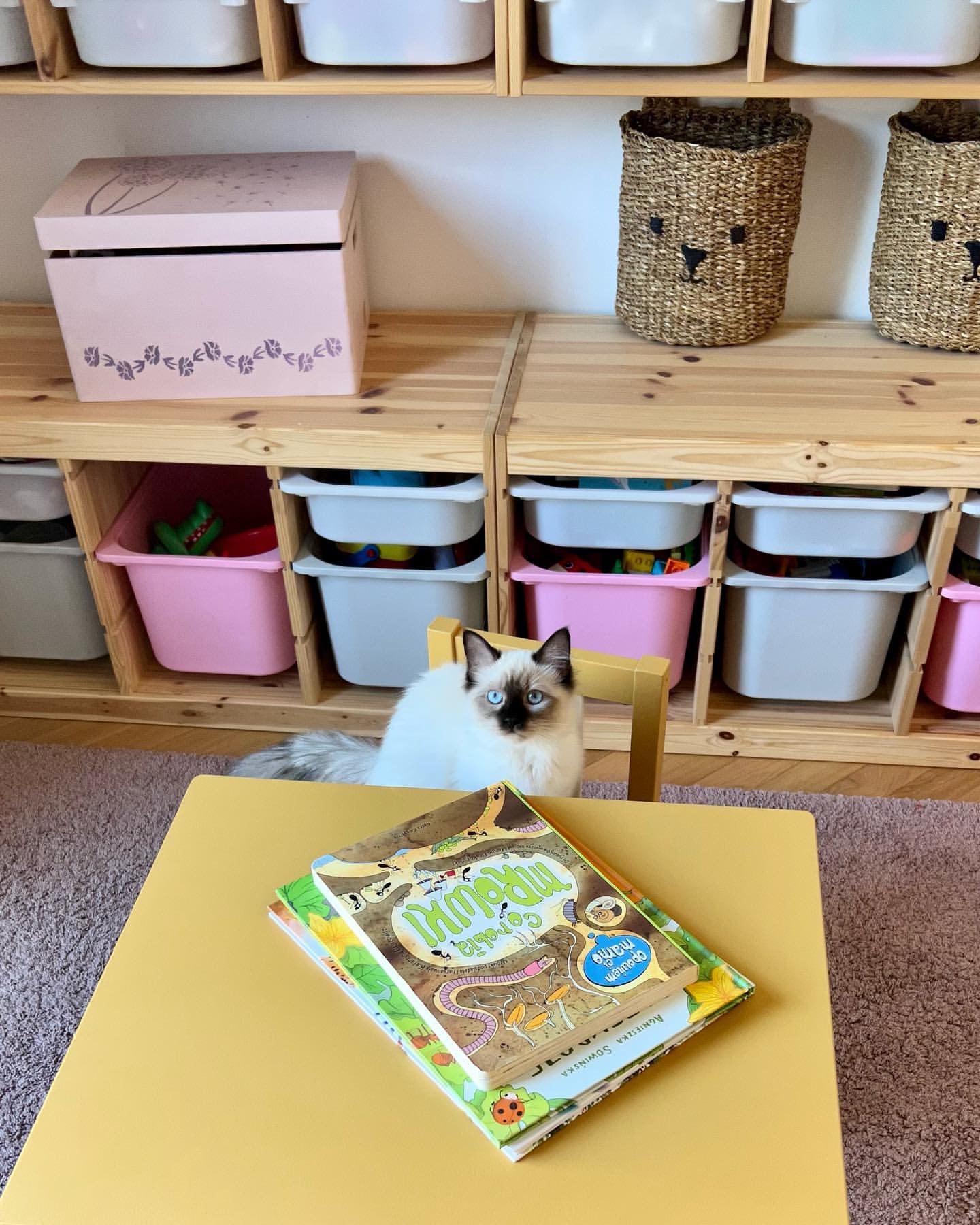 Carnaby Yellow Satin Paint