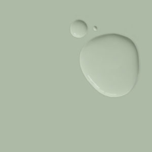 Terre Verte