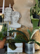 Persephone 5x7 IOD Mould