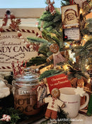 Ginger & Spice IOD Mould