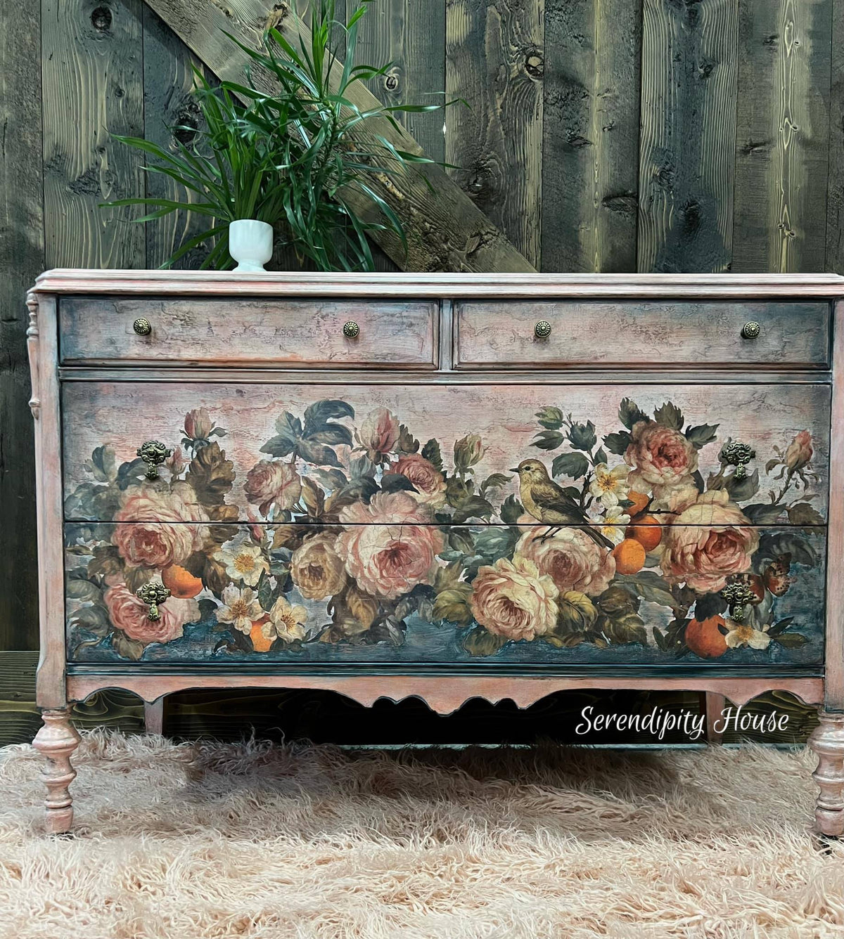 430102252_7768418116524315_137