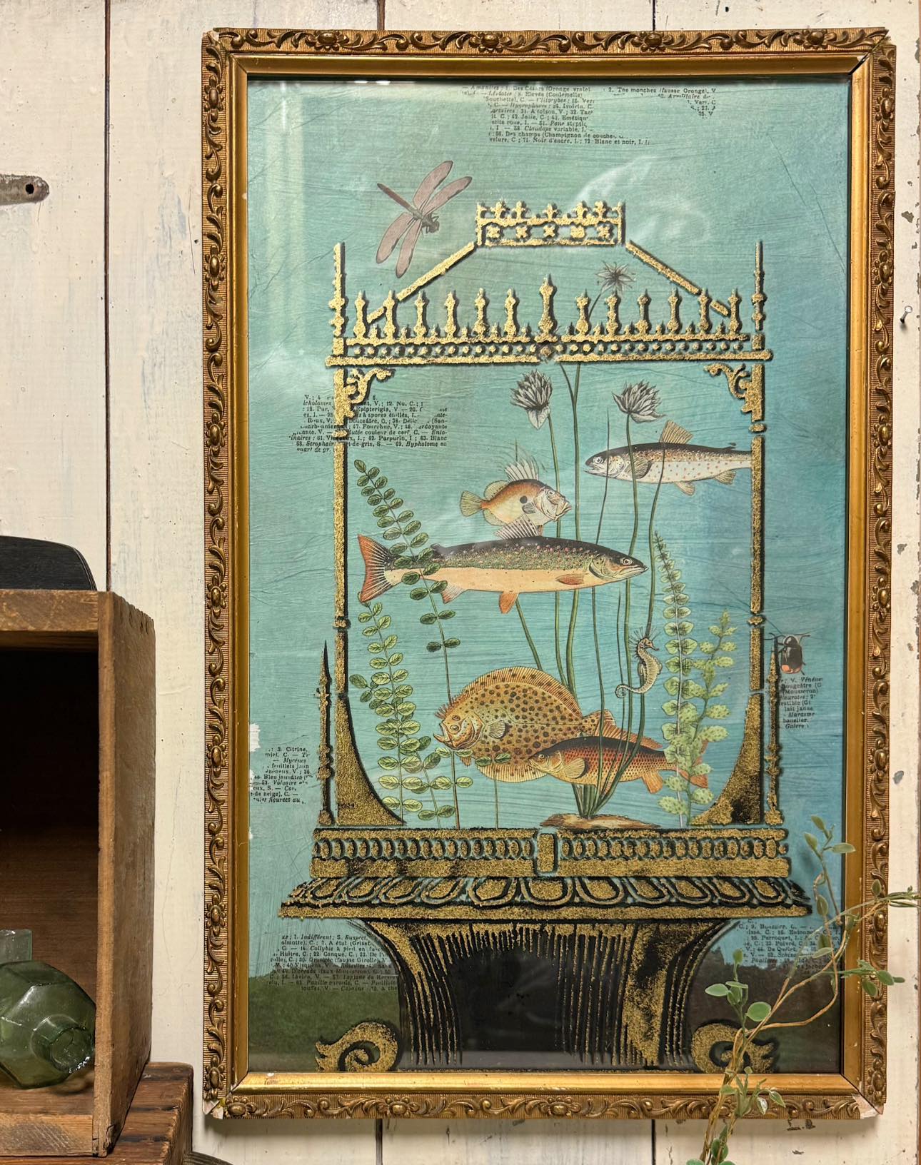 Millot's Pages IOD Transfer