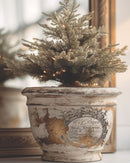 Gloria IOD Paint Inlay