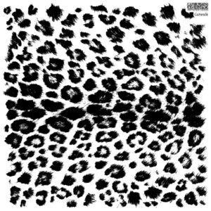 Catwalk IOD Stamp