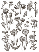 Floriography IOD Paint Inlay 12x16 Pad