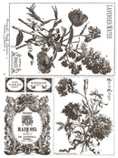 Floriography IOD Paint Inlay 12x16 Pad