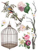 Menagerie IOD Transfer 12x16 Pad