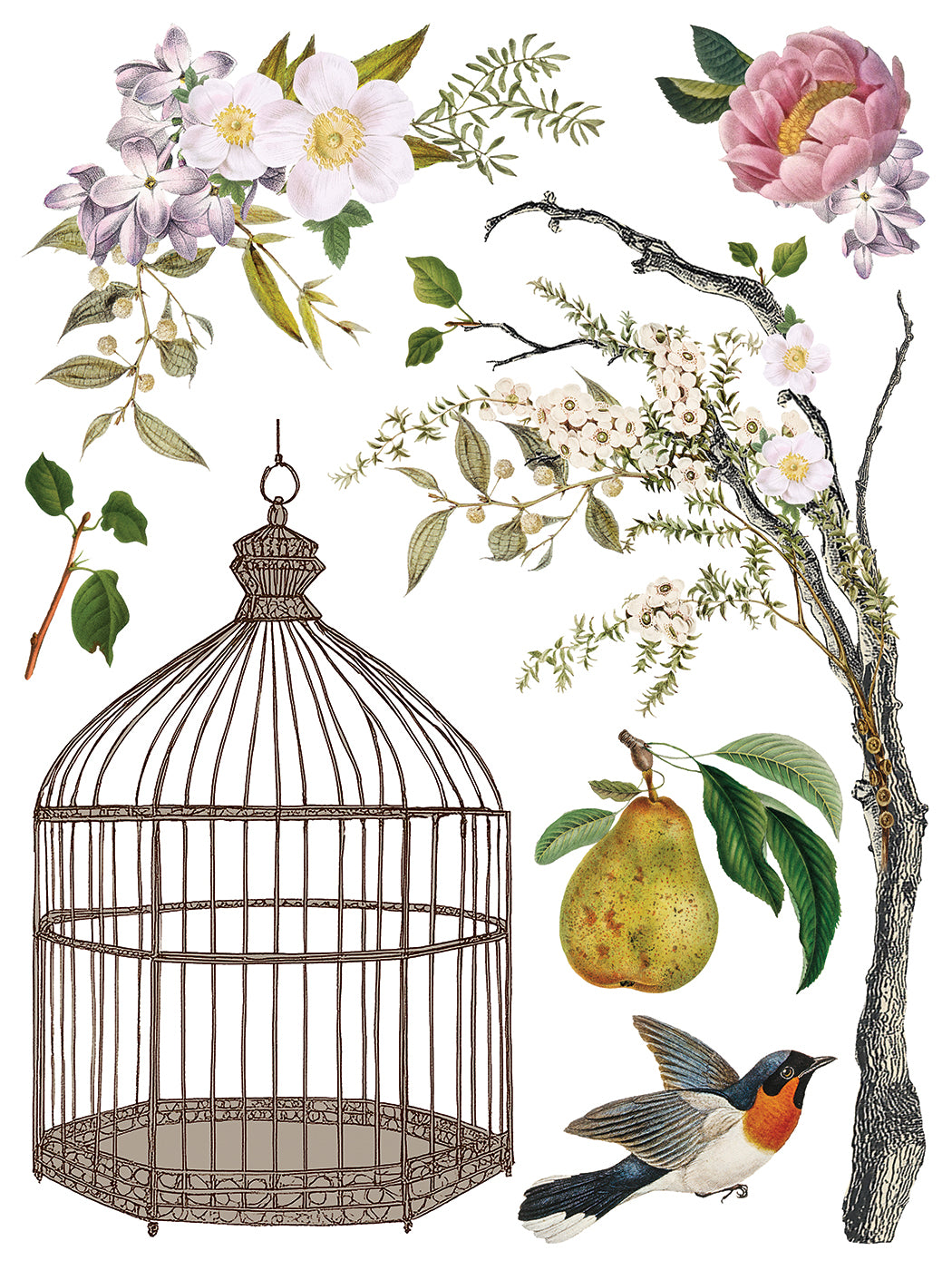 Menagerie IOD Transfer 12x16 Pad