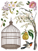 Menagerie IOD Transfer 12x16 Pad