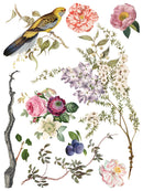 Menagerie IOD Transfer 12x16 Pad