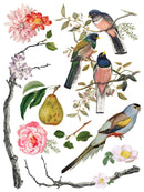 Menagerie IOD Transfer 12x16 Pad