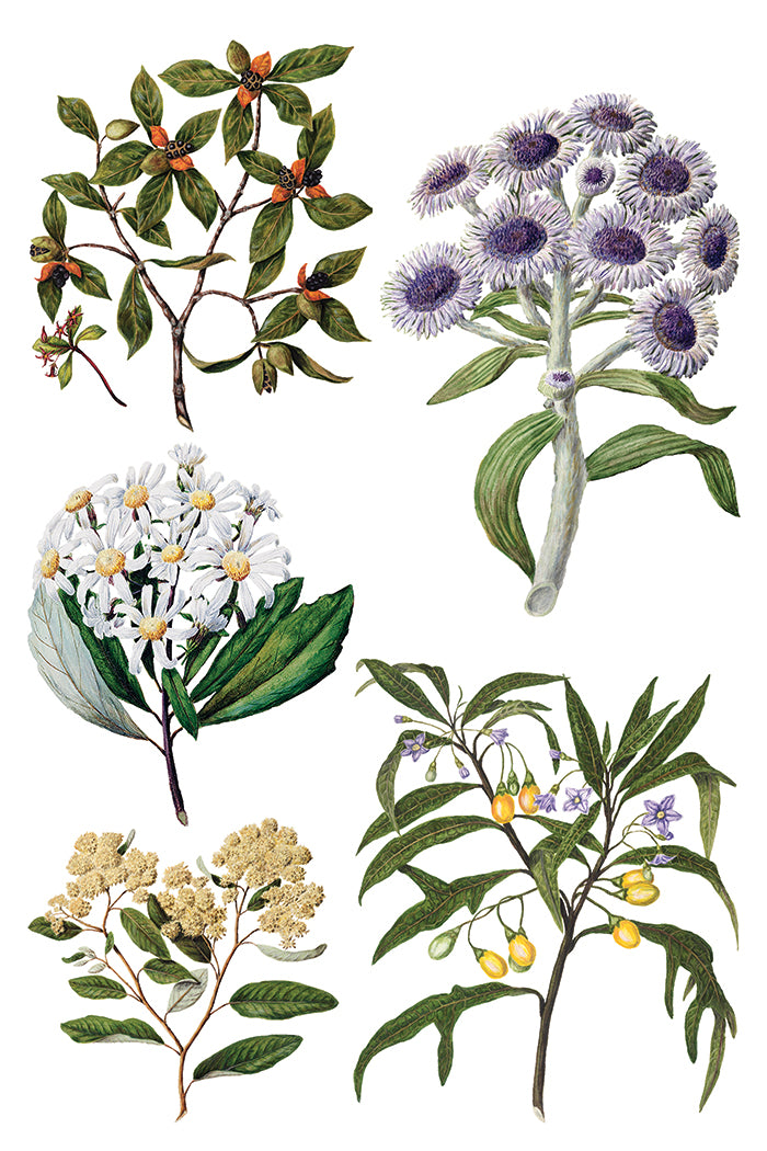 Sarah Featon’s Botanicals IOD Transfer 8x12 Pad
