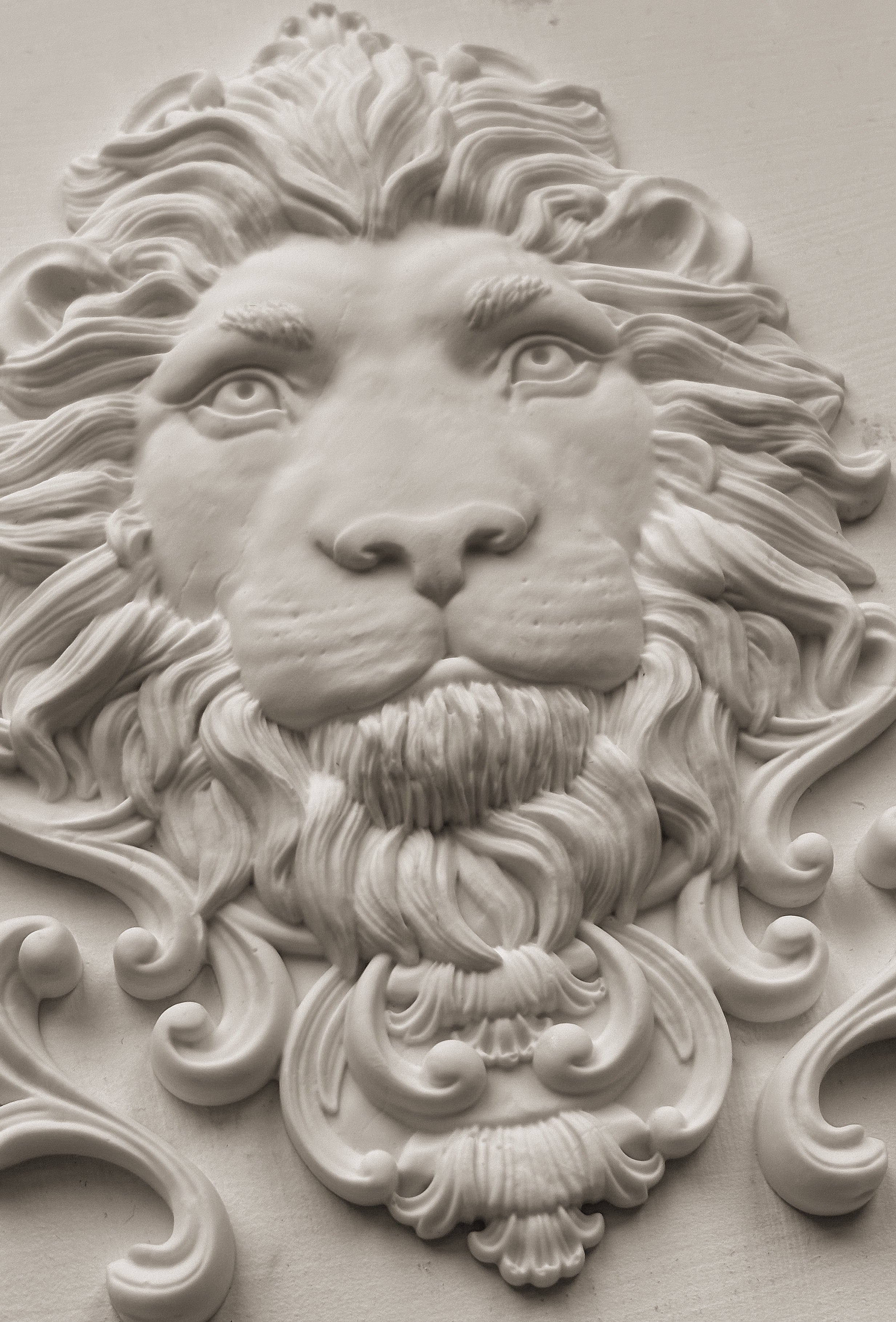 Leonidas 5x7 IOD Mould