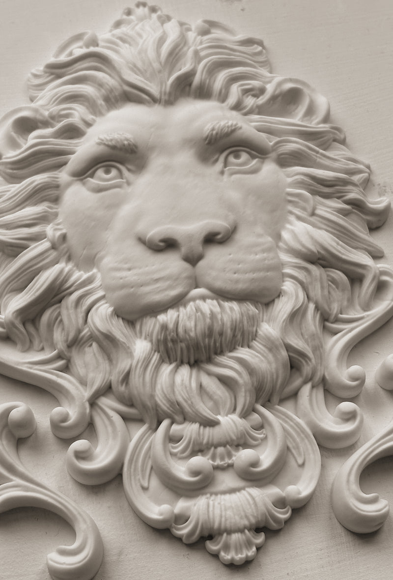 Leonidas 5x7 IOD Mould