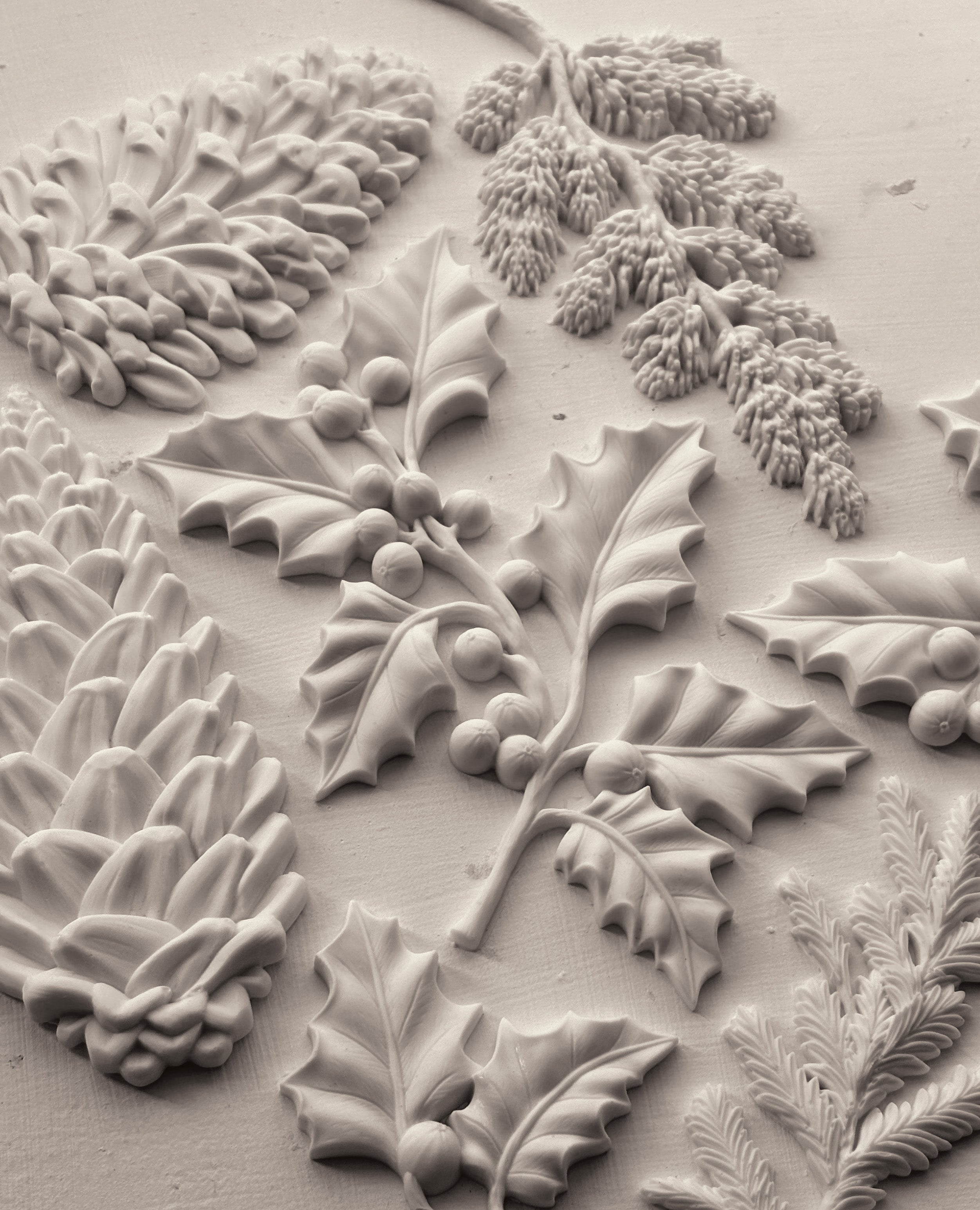 Winter Forage - 6 x 10 IOD Mould