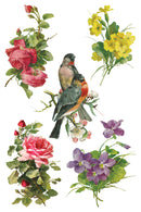 Catharina IOD Transfer 8x12 Pad