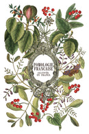 Clementine IOD Transfer 8x12 Pad