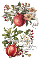 Clementine IOD Transfer 8x12 Pad