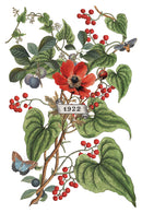 Clementine IOD Transfer 8x12 Pad