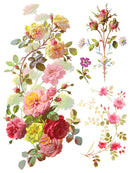 Saint Germain IOD Transfer 12x16 Pad