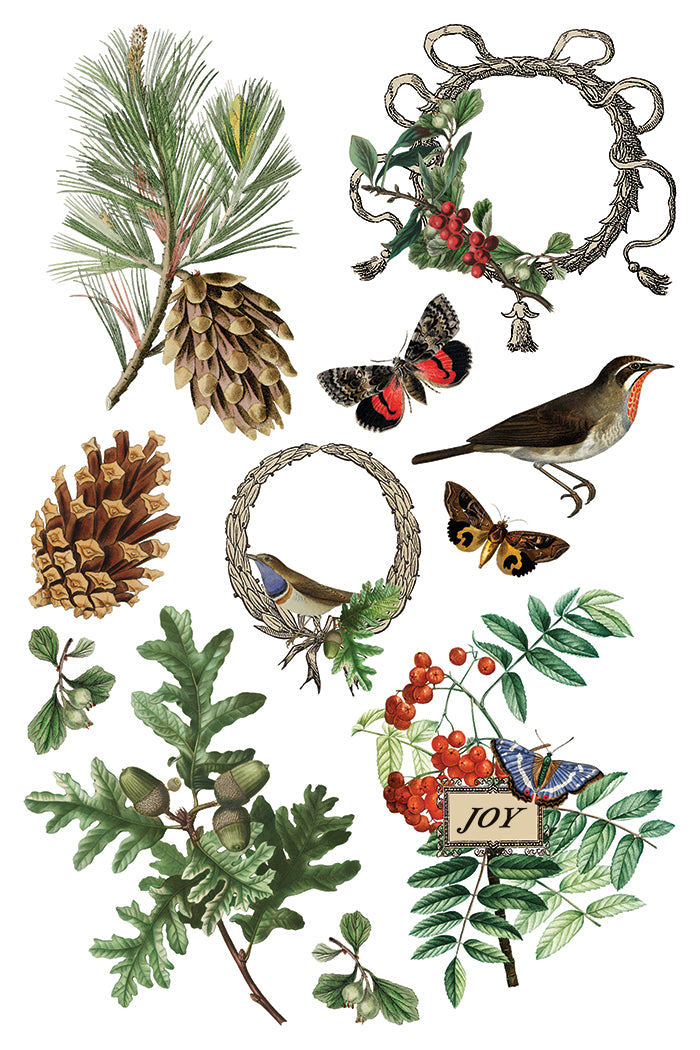 Winter Botanist IOD Transfer 8x12 Pad