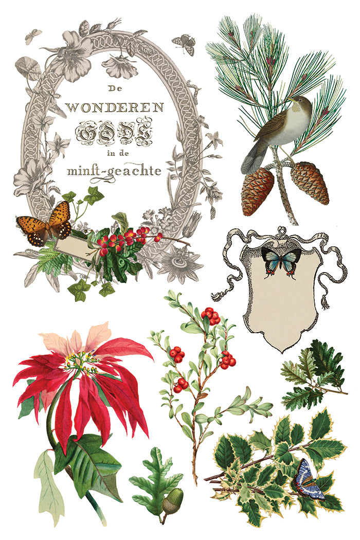Winter Botanist IOD Transfer 8x12 Pad