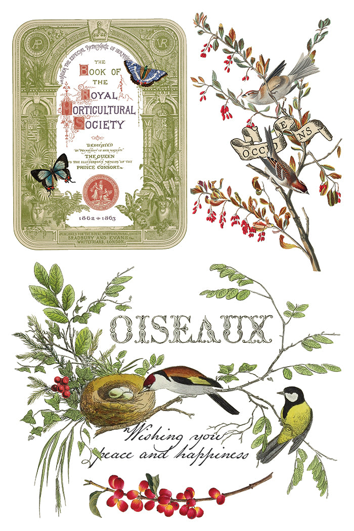 Winter Botanist IOD Transfer 8x12 Pad