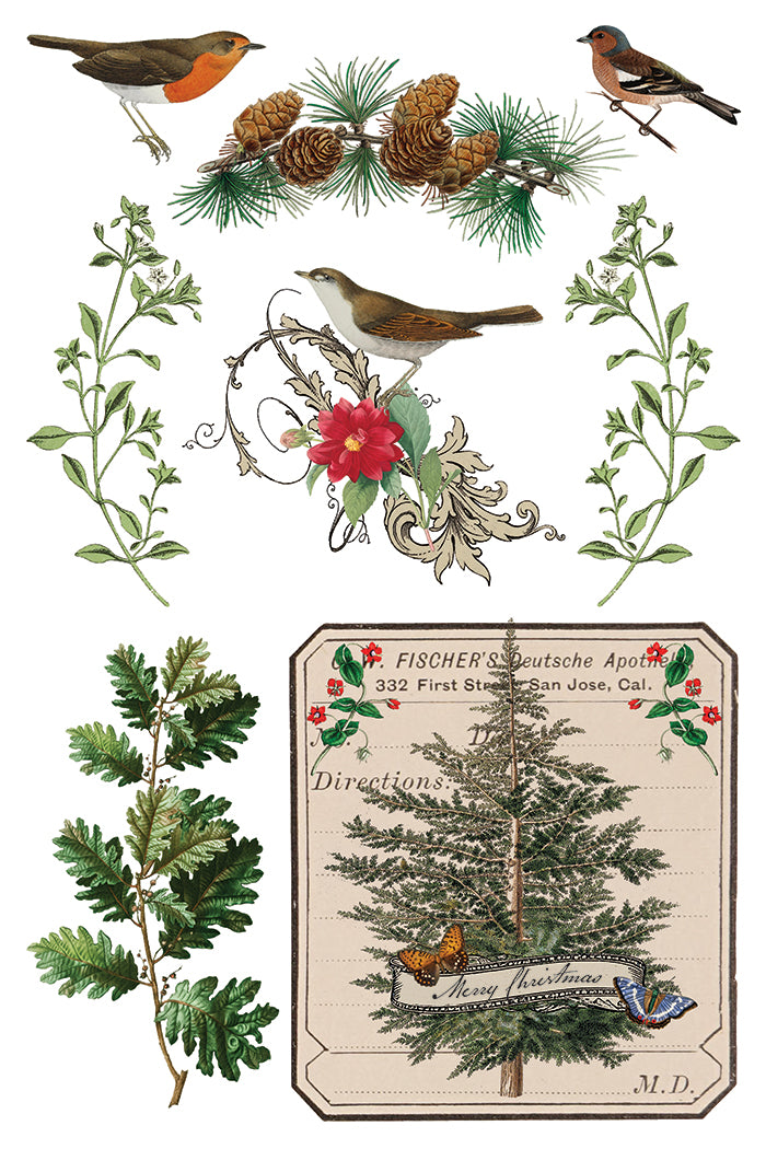 Winter Botanist IOD Transfer 8x12 Pad