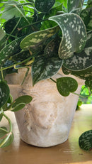 Persephone 5x7 IOD Mould