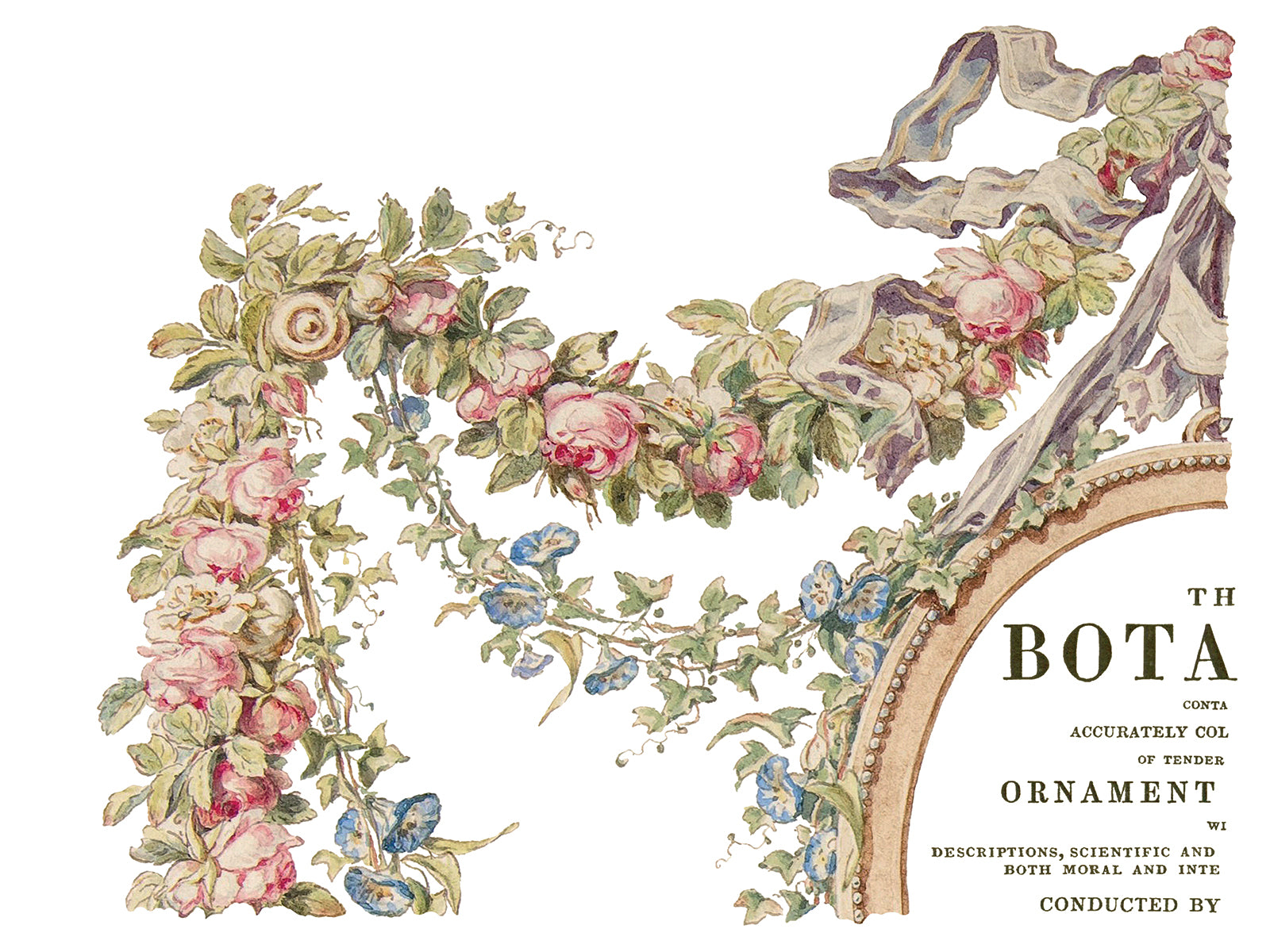 The Botanist IOD Transfer