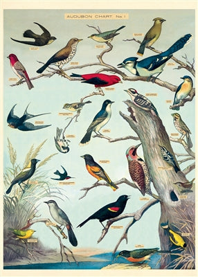 Audubon Birds Wrap