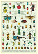 Bugs & Insects Wrap