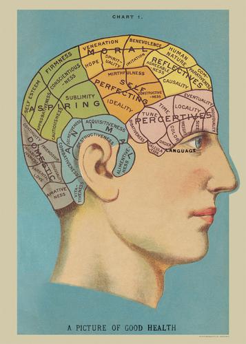 Phrenology Wrap