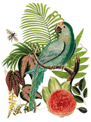 Bungalow IOD Transfer