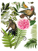 Bungalow IOD Transfer