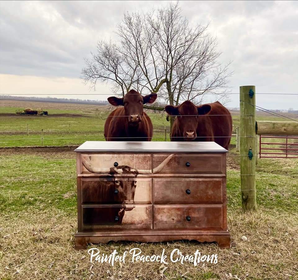 Texas Longhorn Decoupage Paper
