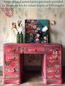 Entomology Etcetera IOD Transfer