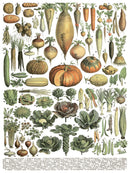 Millot's Pages IOD Transfer