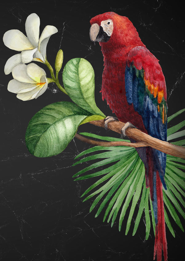 Parrot Decoupage Paper