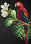 Parrot Decoupage Paper