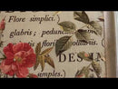 Floral Anthology IOD Transfer