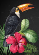 Toucan Decoupage Paper